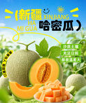 新疆哈密瓜宣传海报