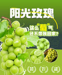 阳光玫瑰葡萄宣传海报