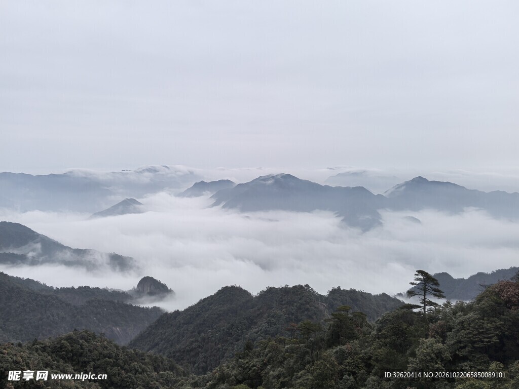 山间云海晨雾景观