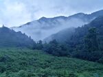山间雾色山野风光
