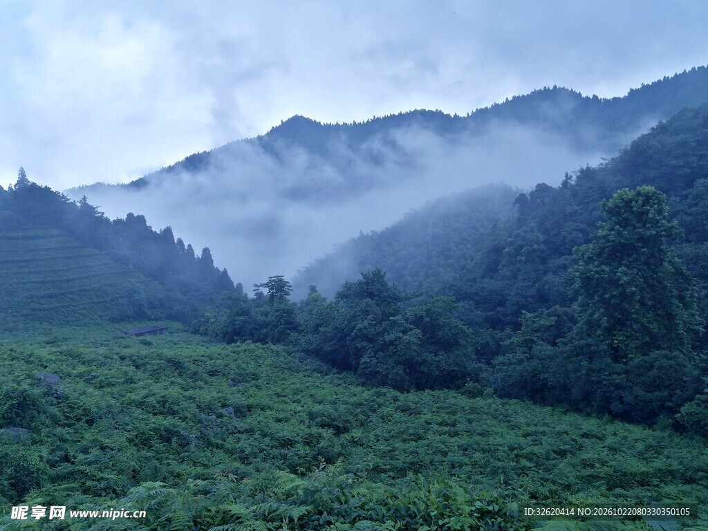 山间雾色山野风光