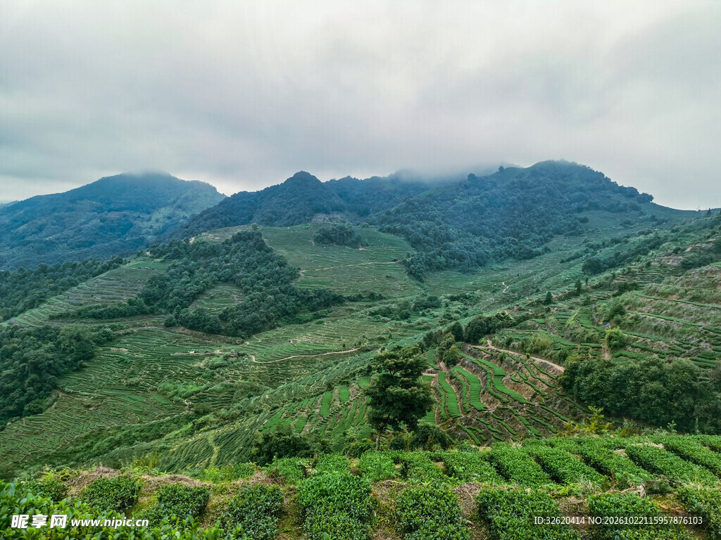 青山连绵山野
