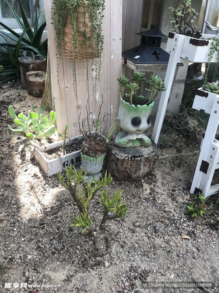 庭院角落绿植盆栽小景