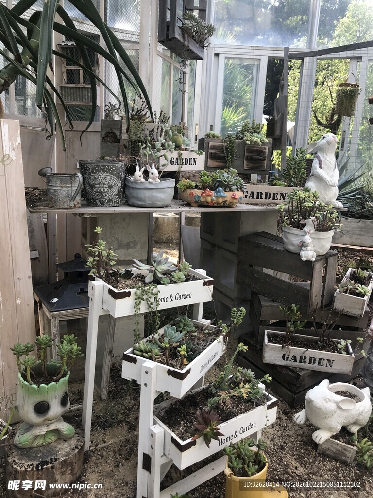 阳光房绿植培育场景
