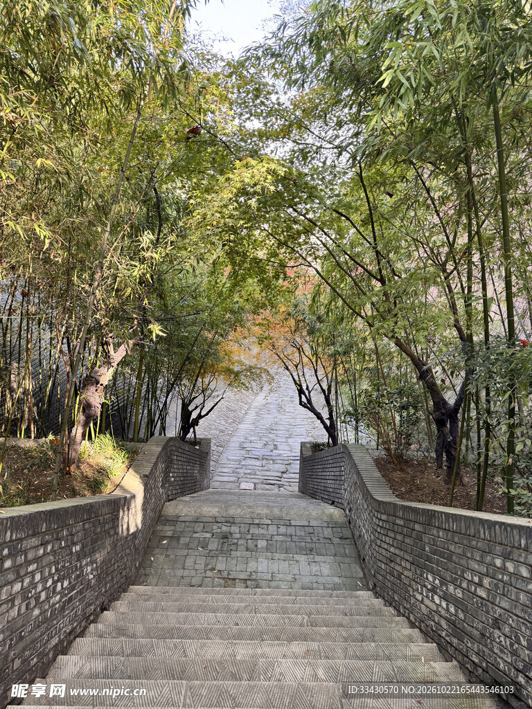 林荫石阶步道