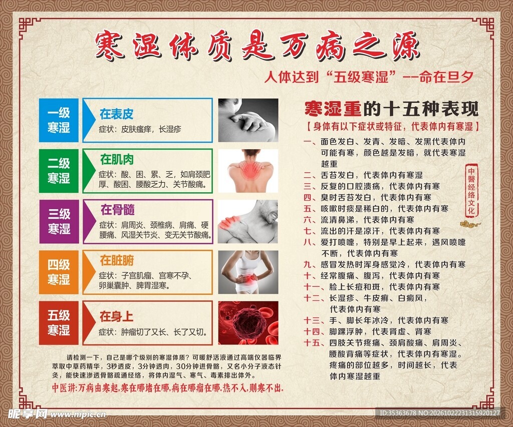 寒湿体质健康科普海报