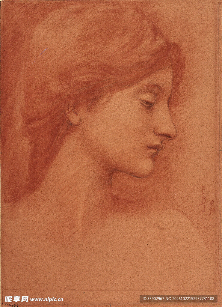 古典女性侧面素描肖像
