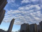高层云