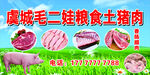 土猪肉宣传广告