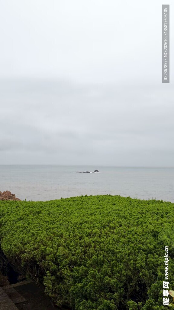 阴天海边草地风光