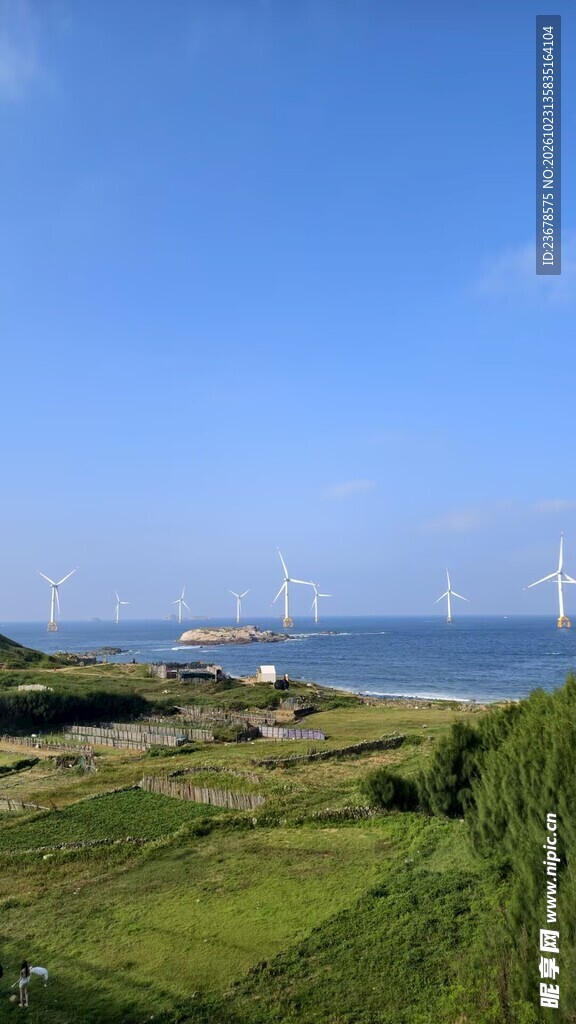 滨海郊野晴朗风光