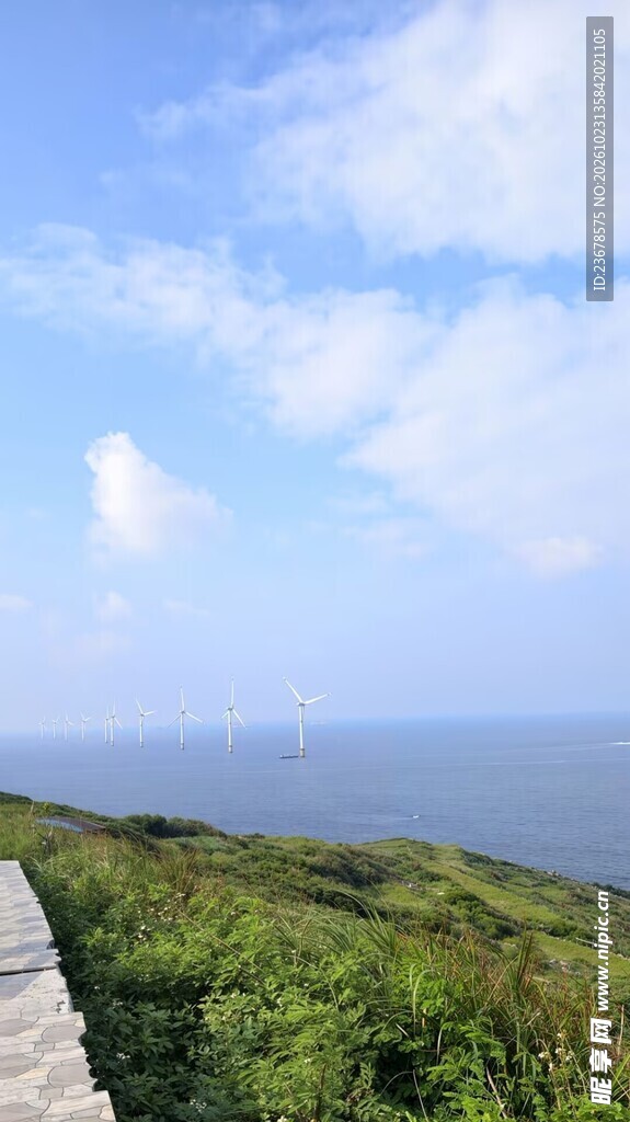 滨海郊野步道风景