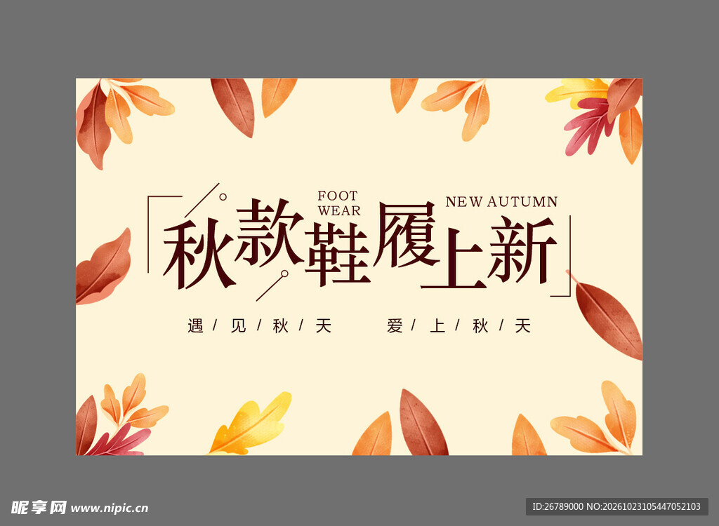 秋款上新