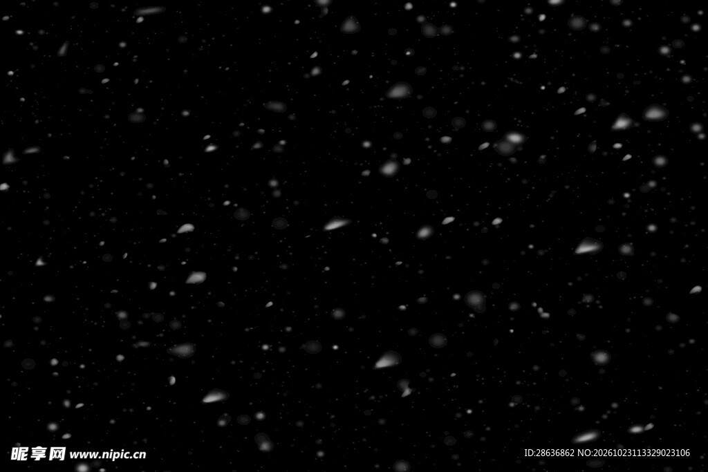 夜空中飘落的雪花