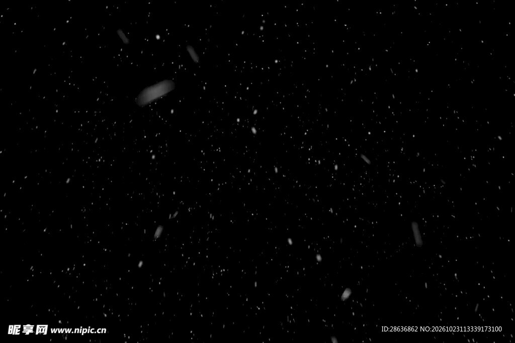 暗夜里飘落的雪花