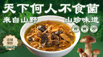 山珍菌菇汤宣传海报