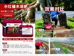 小红桶水溶肥效果对比