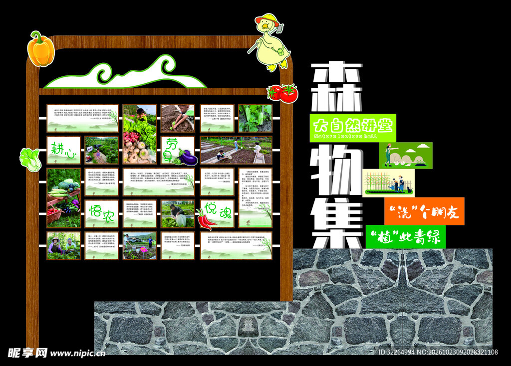 植物集展示宣传栏