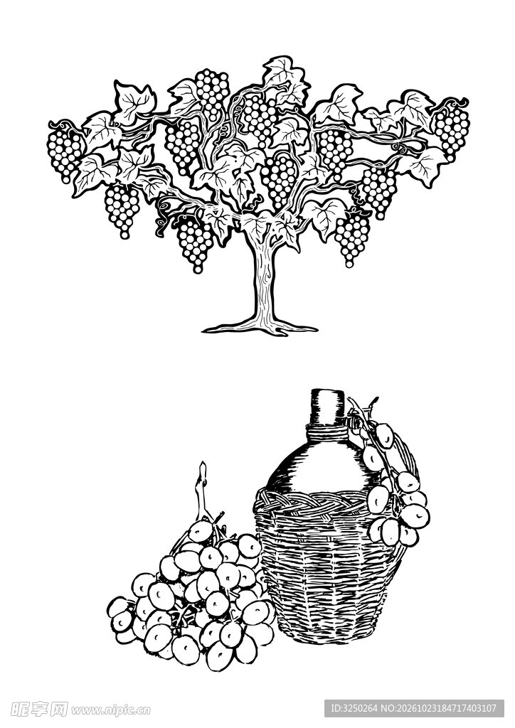 葡萄主题复古线稿插画