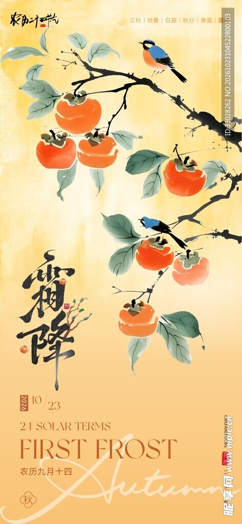 24节气霜降柿子海报