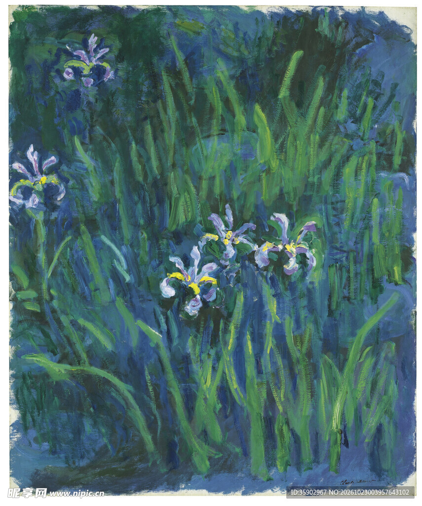 蓝调鸢尾花草手绘插画