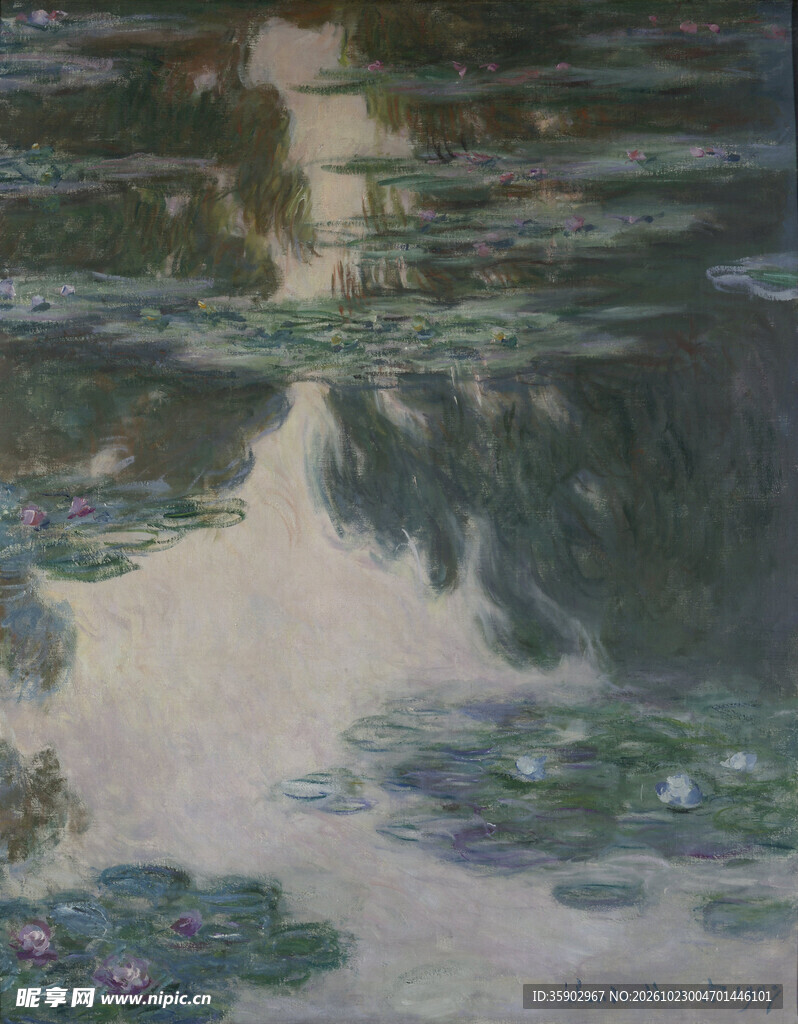荷塘水面光影倒影