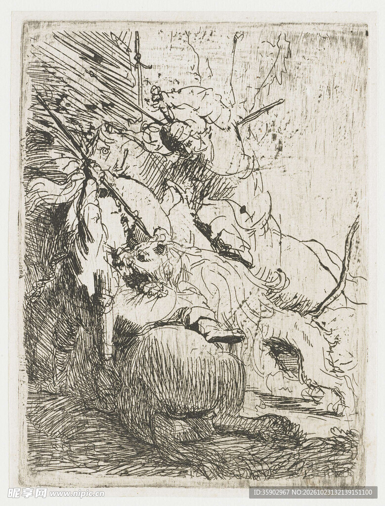 复古禽鸟静物素描版画