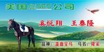 草原骏马宣传图