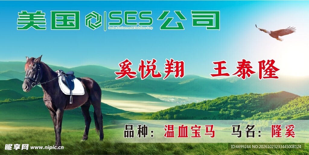草原骏马宣传图