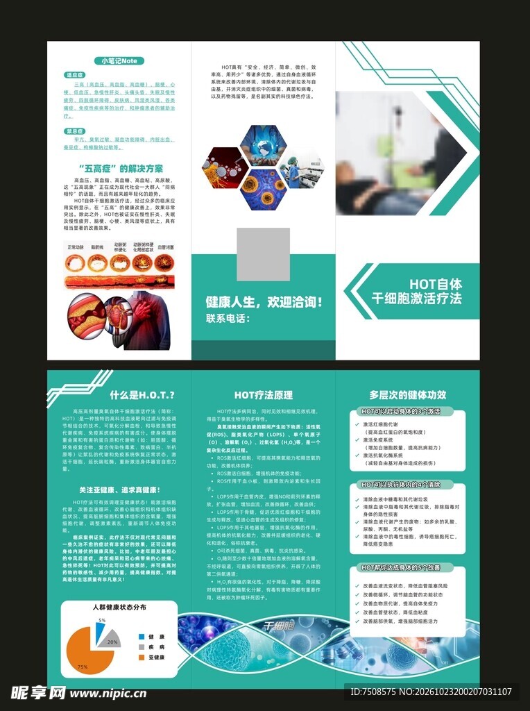 干细胞三折页