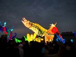 夜间绚烂花灯展