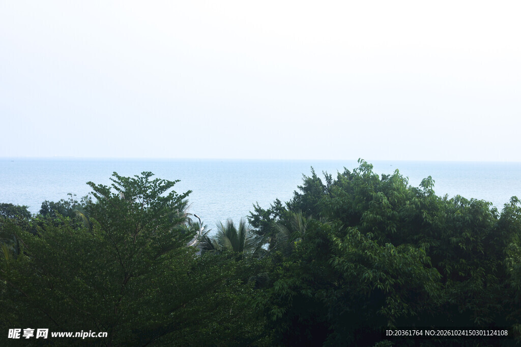 林梢远眺海天风光