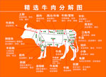 精选牛肉分解图