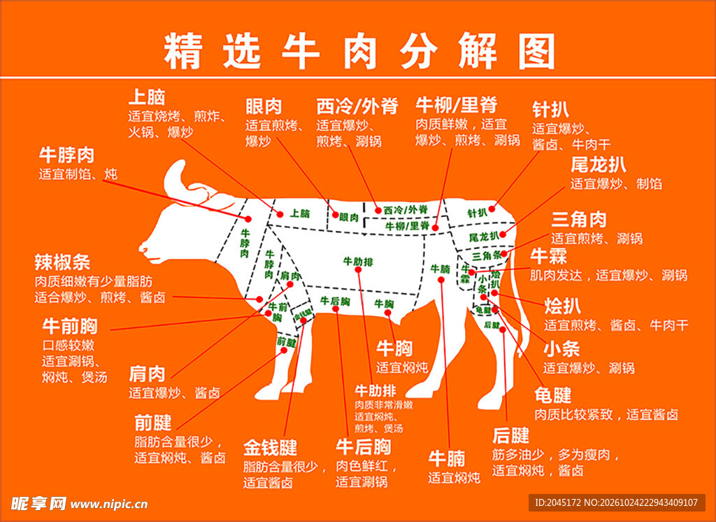 精选牛肉分解图