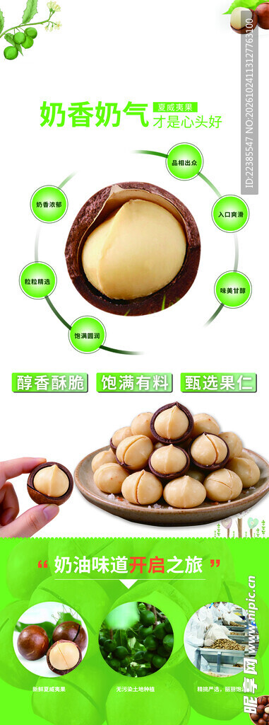 夏威夷果产品介绍