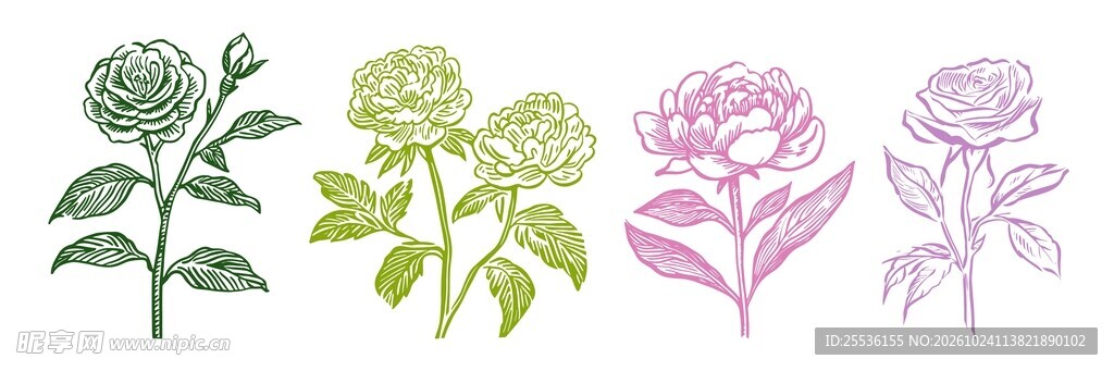玫瑰花图案