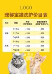 猫咪洗护服务价目表