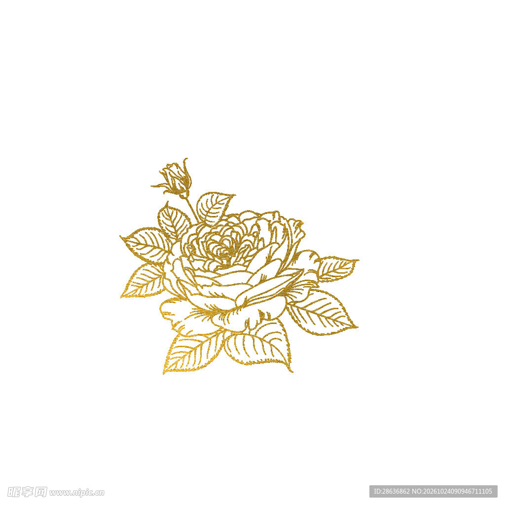 金色线描玫瑰图案