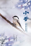 小雪节气枝头小鸟雪景