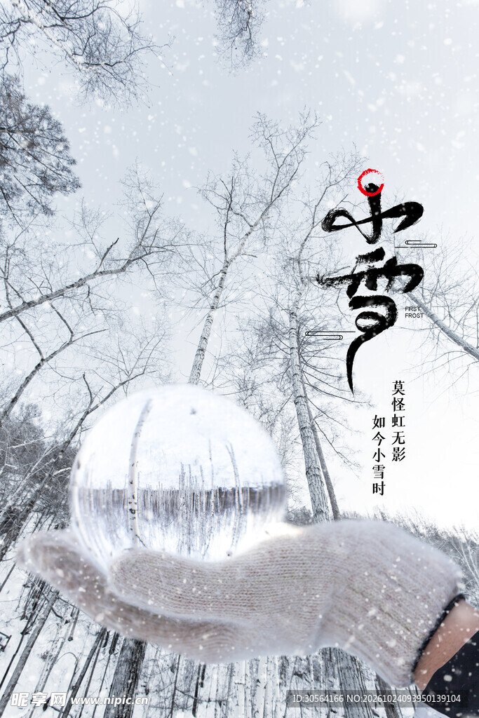 小雪节气国风海报