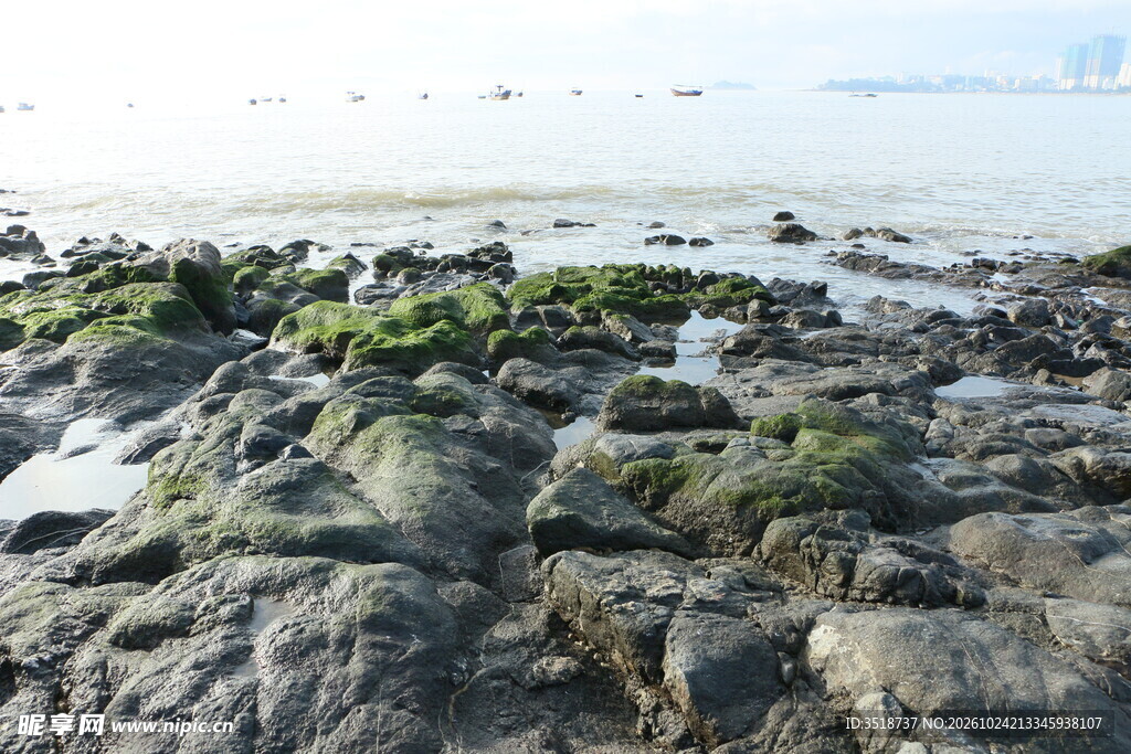 礁石海岸