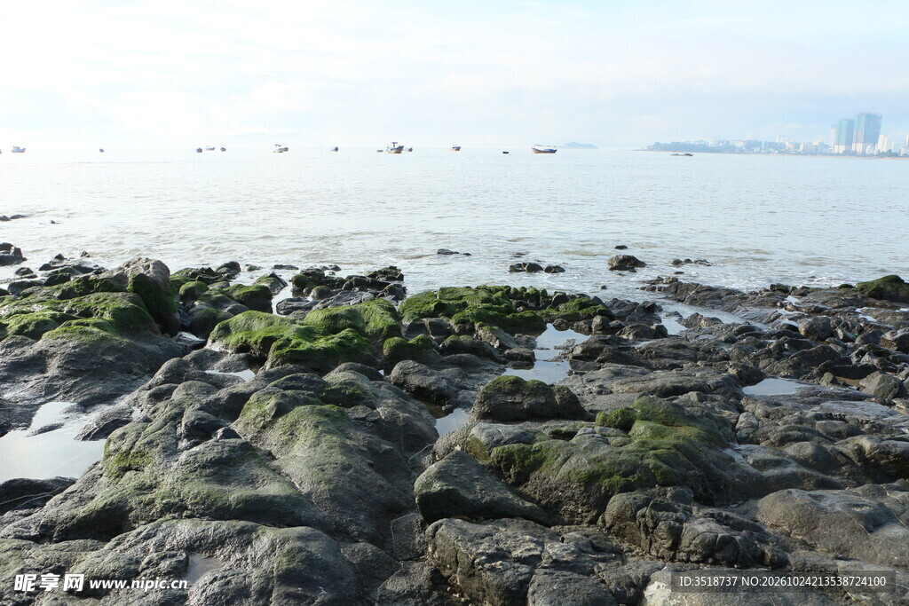 礁石海岸