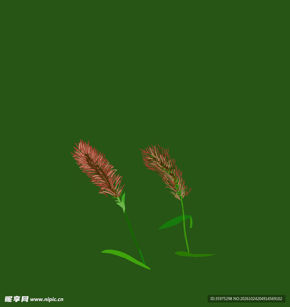 domi狗尾巴草