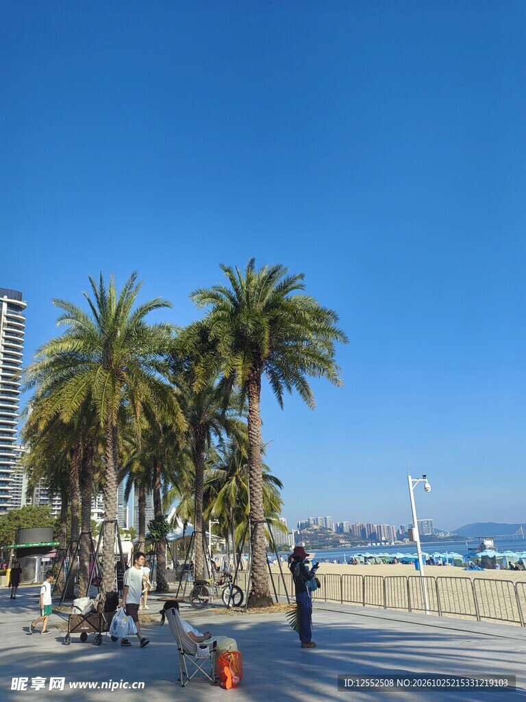 晴日滨海棕榈步道风光