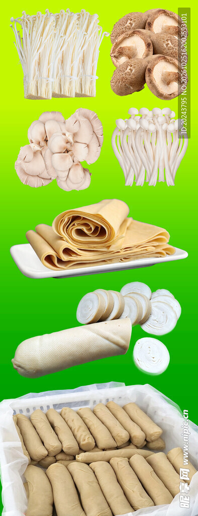 多款豆制品食材展示