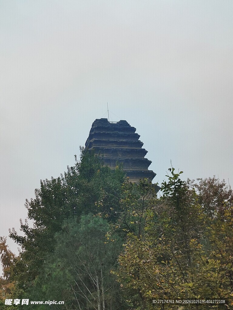 林间古塔远景