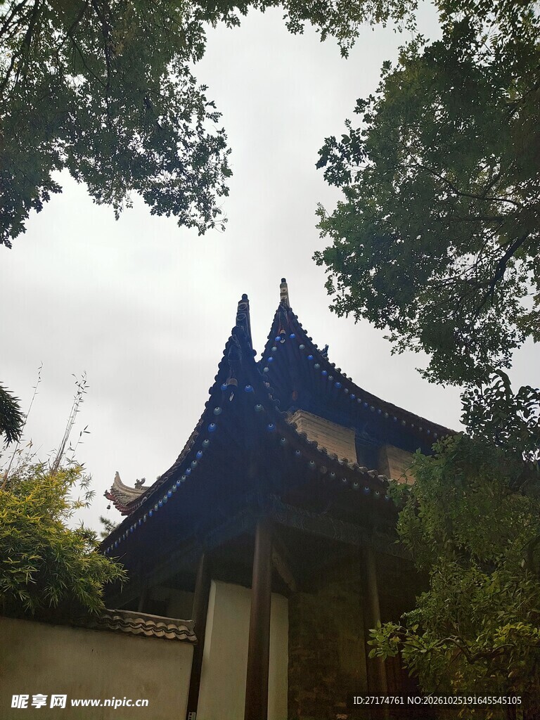 古亭飞檐林间景致