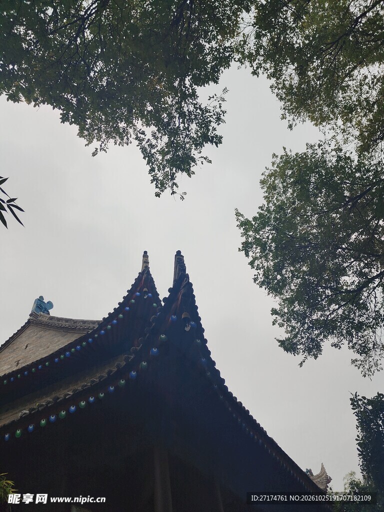 古建飞檐树影