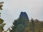 树丛间古塔远景