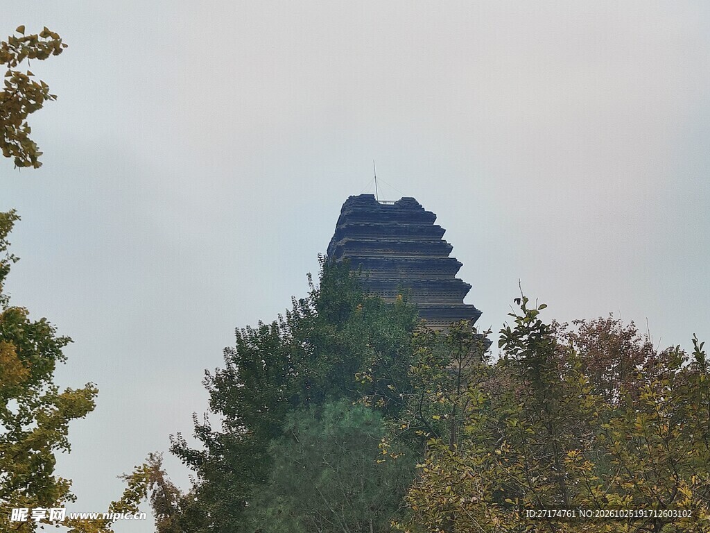树丛间古塔远景